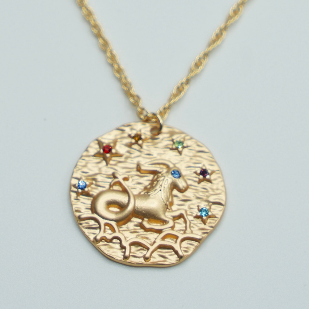 Zodiac CAPRICORN coin necklace horoscope astrology